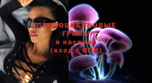 а пвп мука Абаза