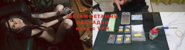 индика Няндома